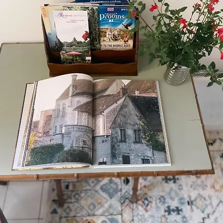 Au Nom De La Rose, Beau 3 Pieces En Centre-Ville Provins Exterior photo