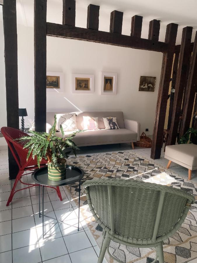 Au Nom De La Rose, Beau 3 Pieces En Centre-ville Apartment Provins
