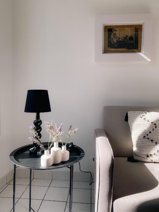 Apartment Au Nom De La Rose, Beau 3 Pieces En Centre-ville