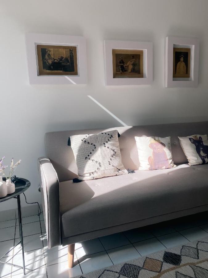 Au Nom De La Rose, Beau 3 Pieces En Centre-ville Apartment *