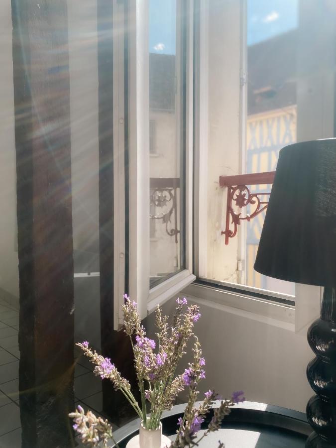 Au Nom De La Rose, Beau 3 Pieces En Centre-ville Apartment *