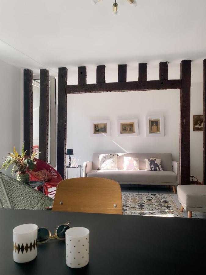 Apartment Au Nom De La Rose, Beau 3 Pieces En Centre-ville Provins