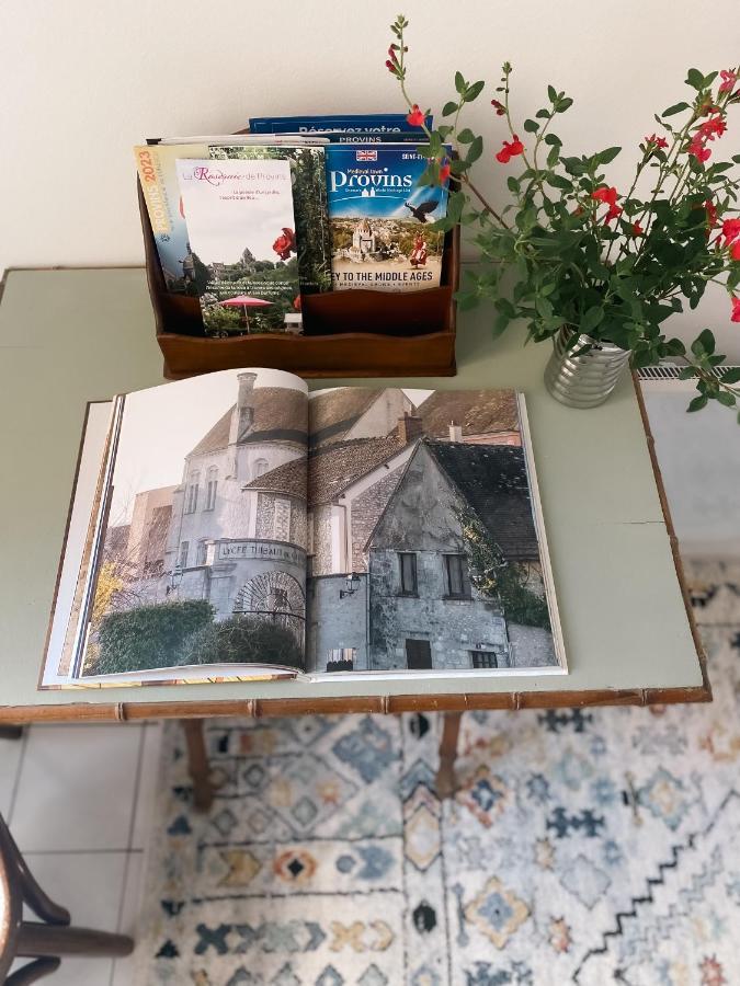 Au Nom De La Rose, Beau 3 Pieces En Centre-ville Apartment Provins
